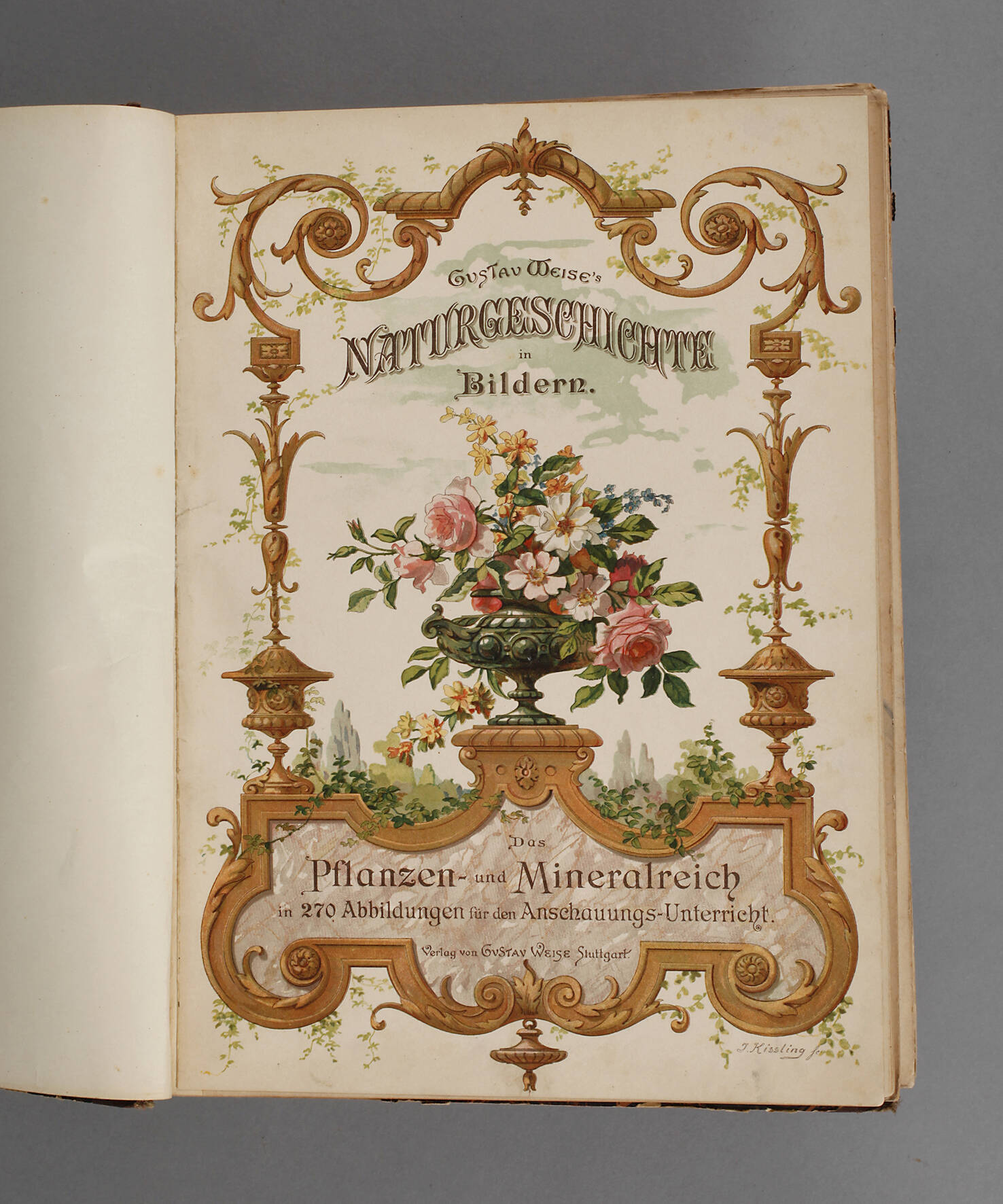Gustav Weise's Naturgeschichte in Bildern