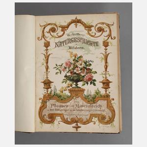 Gustav Weise's Naturgeschichte in Bildern