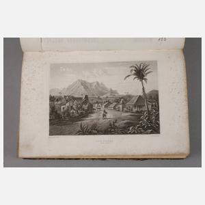 Meyer's Universum 12. und 13. Band