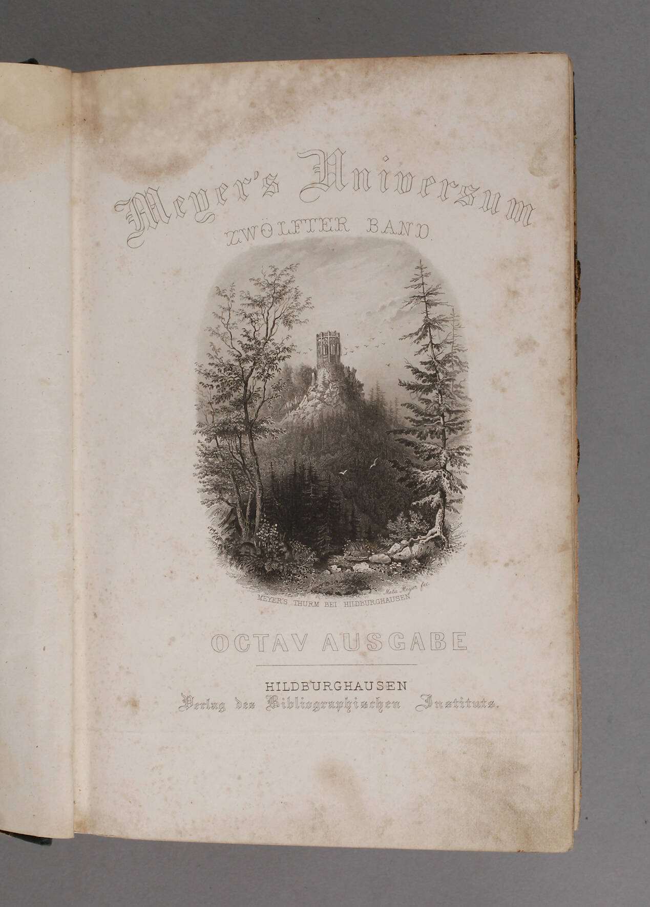 Meyer's Universum 12. und 13. Band