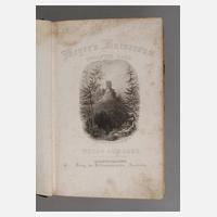 Meyer's Universum 12. und 13. Band111