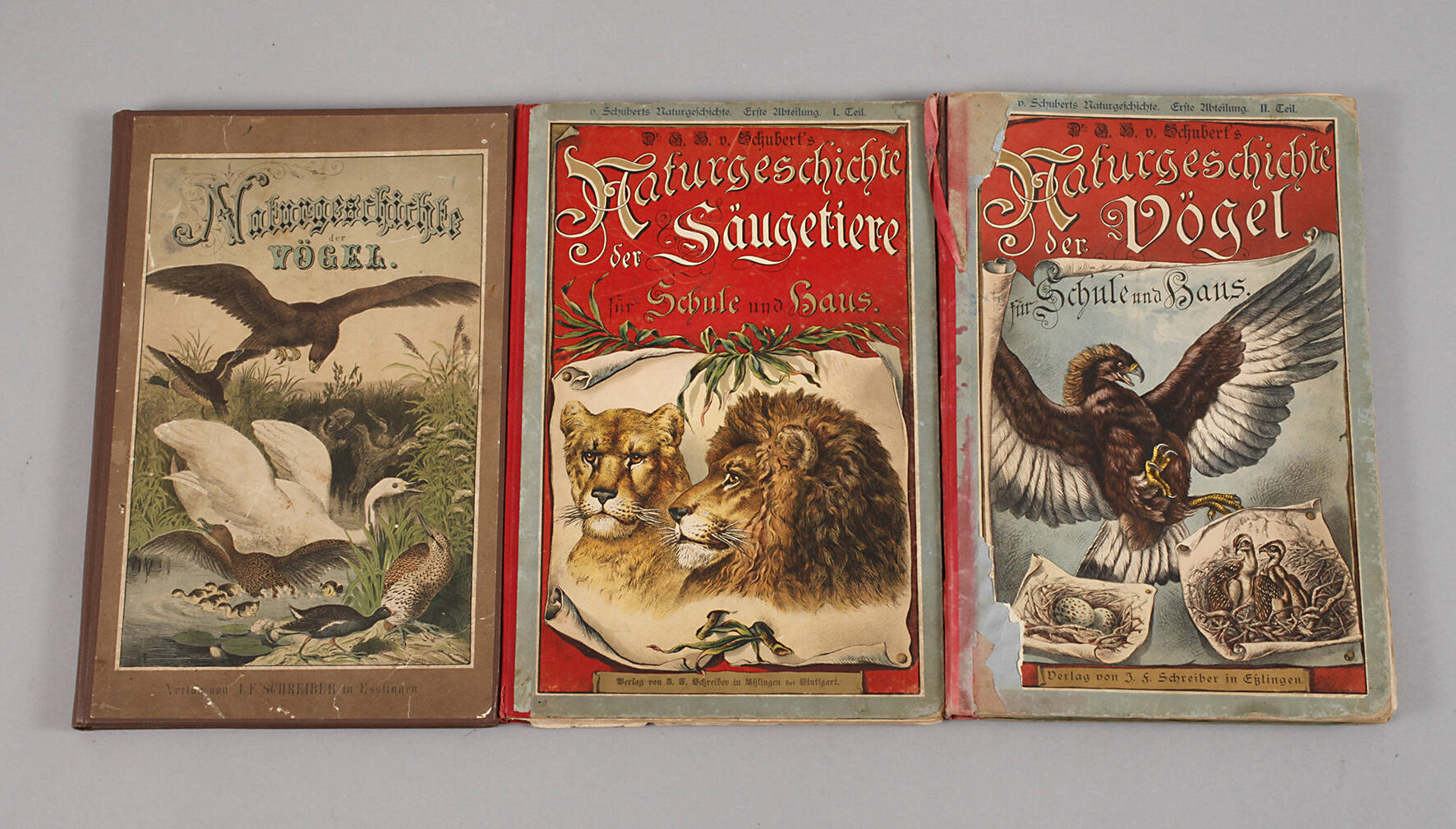 Naturgeschichte des Thier-, Pflanzen- & Mineralreichs