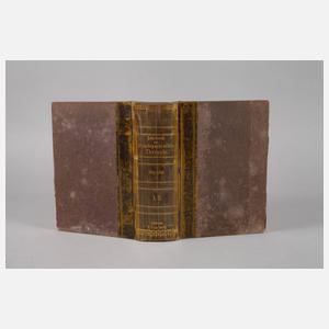 Lehrbuch Homöopathische Therapie