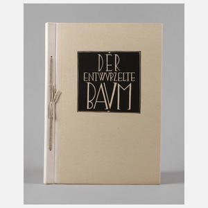 Der entwurzelte Baum