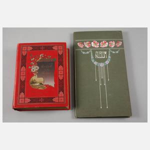 Zwei Ansichtskartenalben Jugendstil