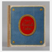 Moderne Schönheitsgalerie111