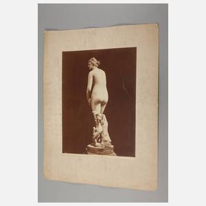 Drei großformatige Fotografien Venus Medici