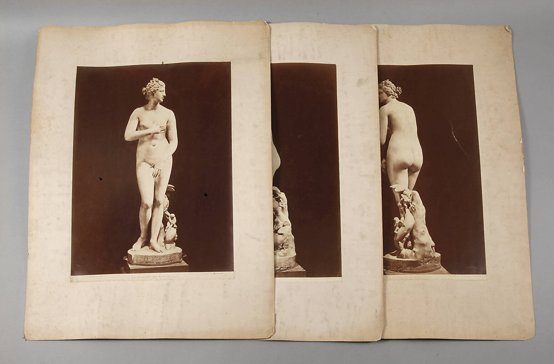 Drei großformatige Fotografien Venus Medici