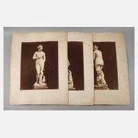 Drei großformatige Fotografien Venus Medici111