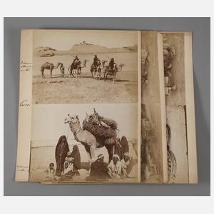 Konvolut großformatige Fotografien