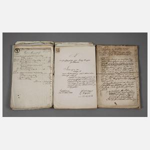 Konvolut historische Dokumente Mecklenburg