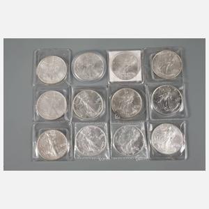 Konvolut One-US-Dollar Liberty