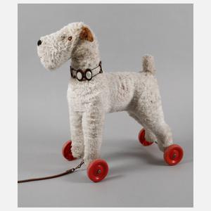 Plüschhund als Nachziehtier