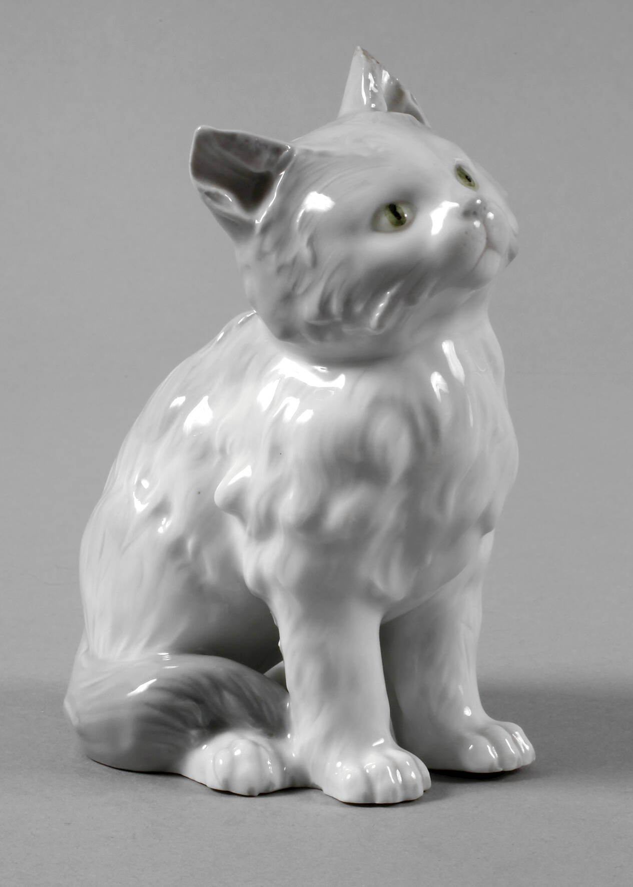 Heubach Lichte sitzende Katze