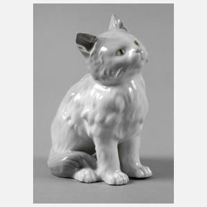 Heubach Lichte sitzende Katze