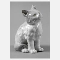 Heubach Lichte sitzende Katze111