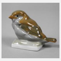 Heubach Lichte Spatzenkind111