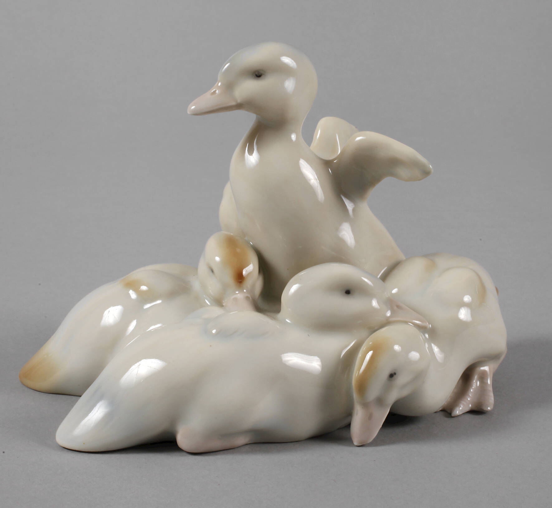 Heubach Lichte Entenküken