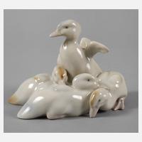 Heubach Lichte Entenküken111