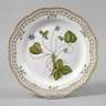 Royal Copenhagen Platzteller "Flora Danica"