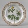 Royal Copenhagen Platte "Flora Danica"