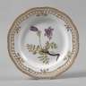Royal Copenhagen Speiseteller "Flora Danica"