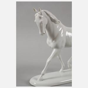 Ludwigsburg Schreitender Hengst