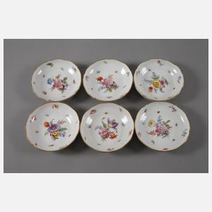 Meissen Kaffeeservice "Blumen und Insekten"