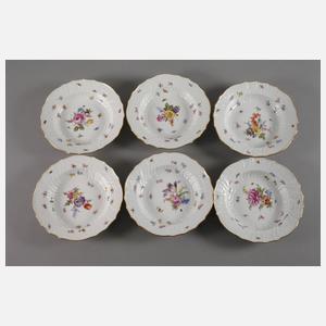 Meissen sechs Suppenteller mit Insektenmalerei