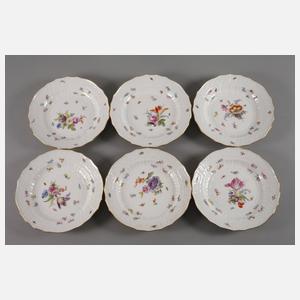 Meissen sechs Speiseteller mit Insektenmalerei