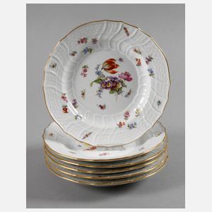 Meissen sechs Salatteller mit Insektenmalerei