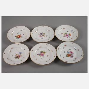 Meissen sechs Dessertteller mit Insektenmalerei