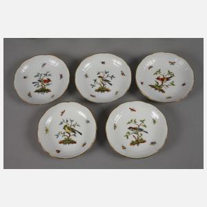 Meissen fünf Tassen Vogelmalerei