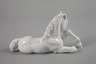 Meissen liegendes Fohlen