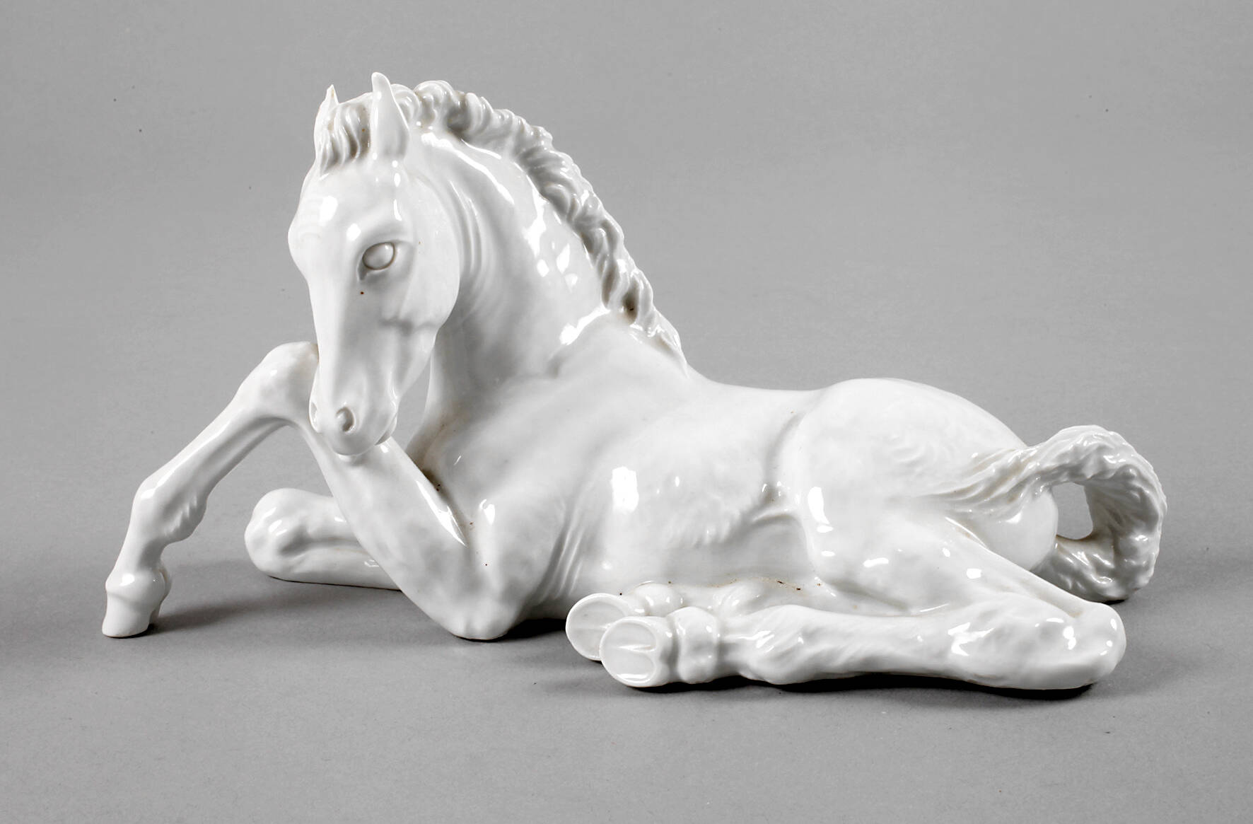 Meissen liegendes Fohlen