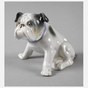 Metzler & Ortloff kleine Bulldogge