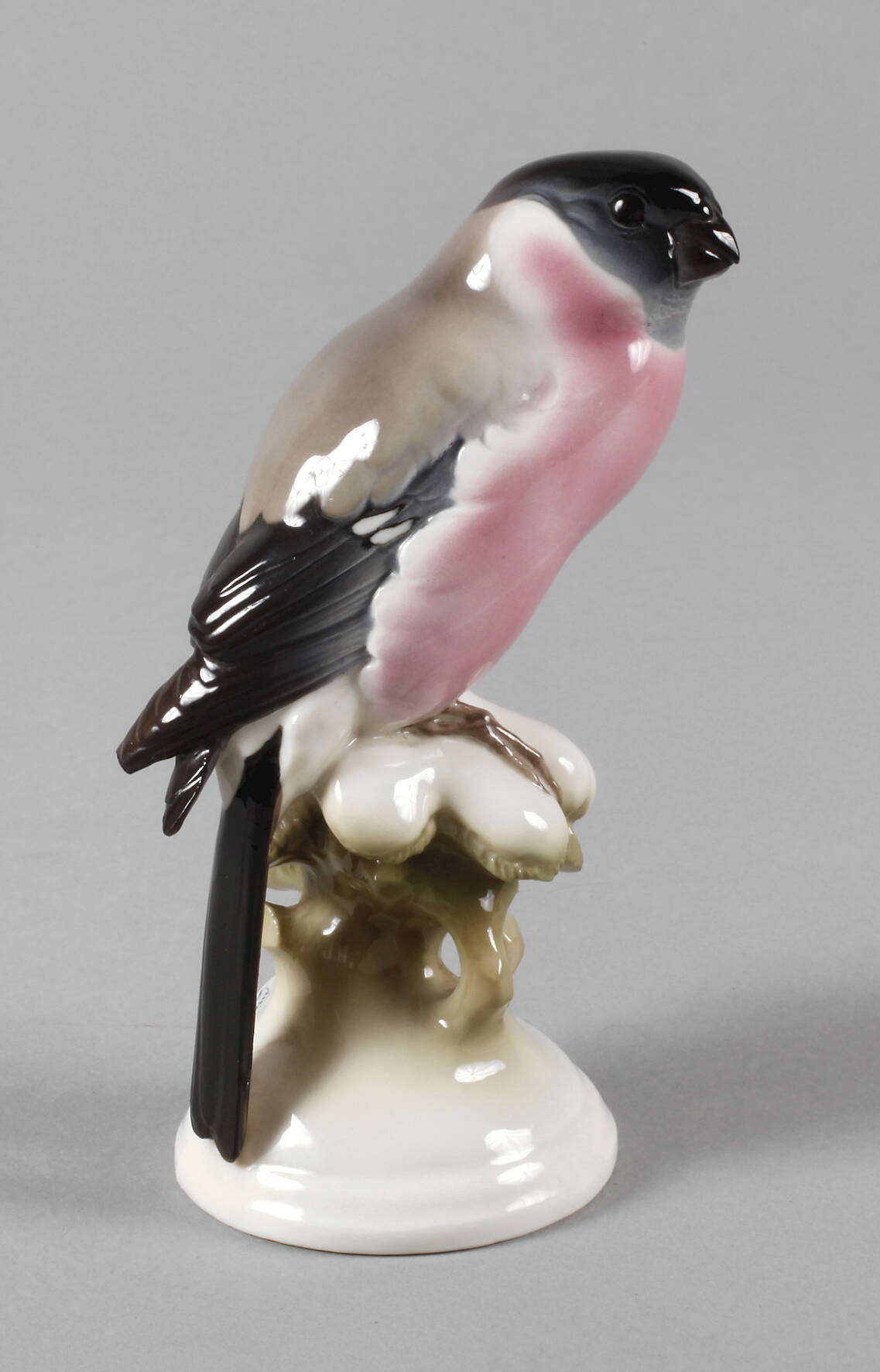 Nymphenburg "Dompfaff" (Gimpel)