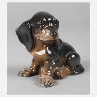 Rosenthal "Dackelwelpe"111