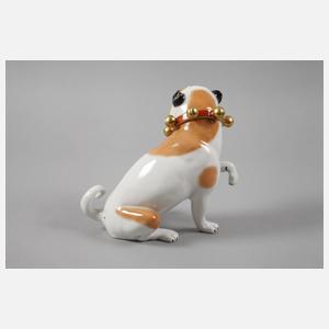 Kämmer Rudolstadt Mops