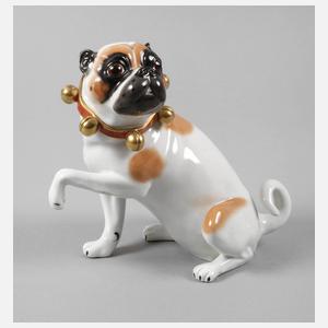 Kämmer Rudolstadt Mops