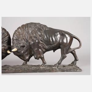 Peder Jensen, kämpfende Büffel