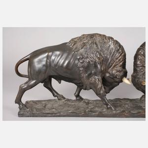 Peder Jensen, kämpfende Büffel