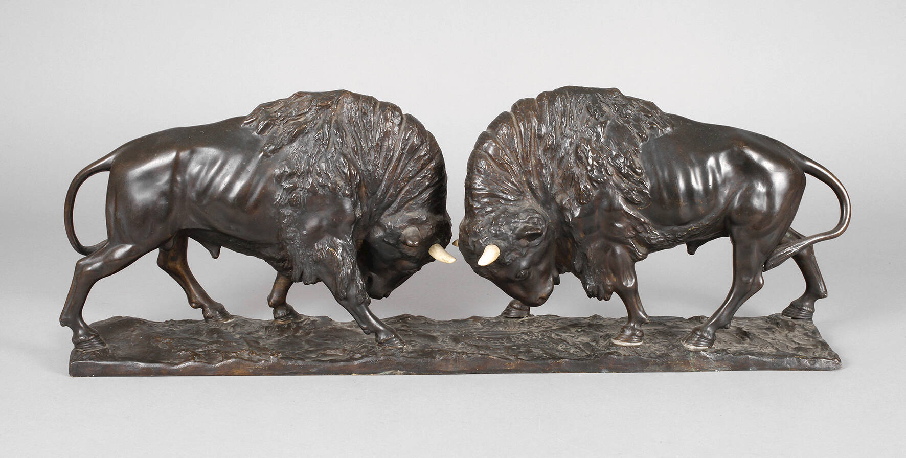 Peder Jensen, kämpfende Büffel