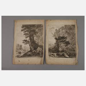 Konvolut Baumdarstellungen