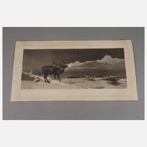 Sir Edwin Henry Landseer, nach, "The Challenge"