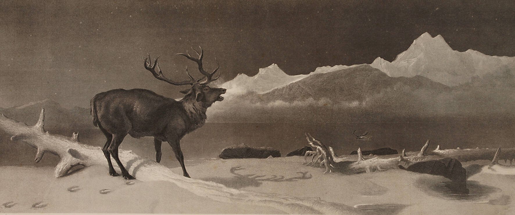 Sir Edwin Henry Landseer, nach, "The Challenge"