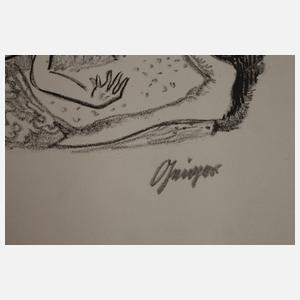 Prof. Willi Geiger, Traum und Alptraum