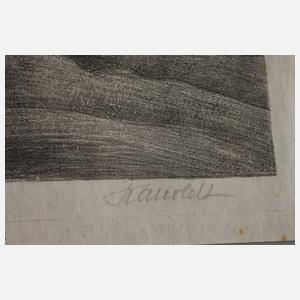 Prof. Alexander Kanoldt, "Soiernseen"