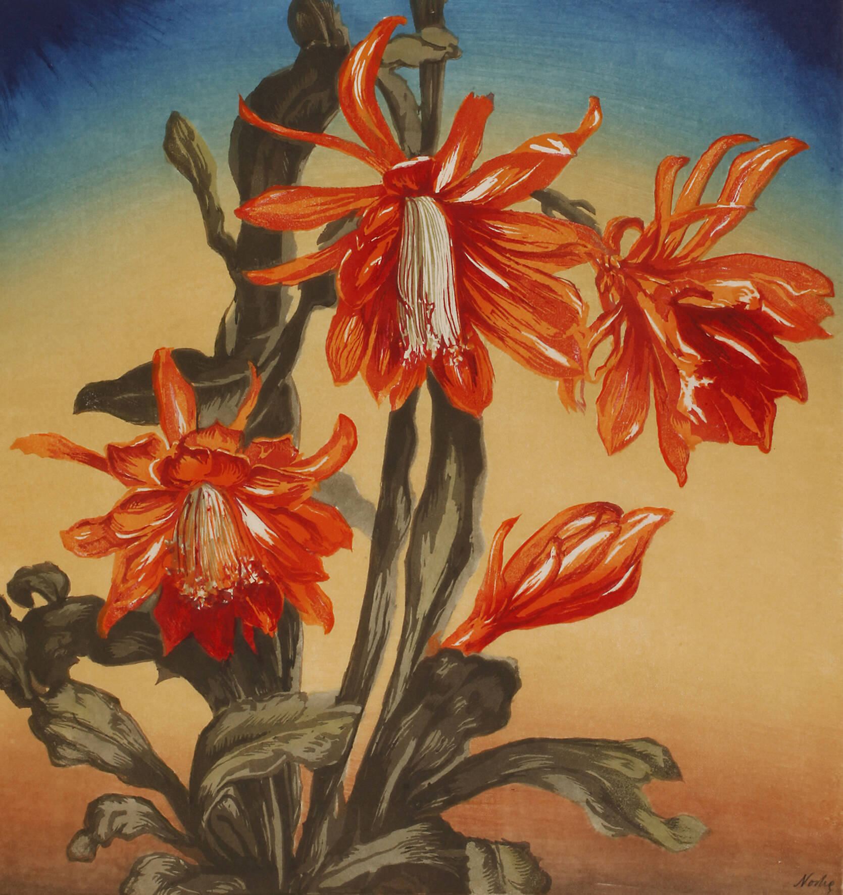 Prof. Hugo Noske, Blühender Kaktus