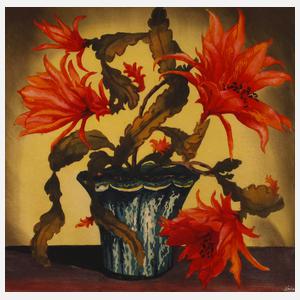 Prof. Hugo Noske, Blühende Kaktee